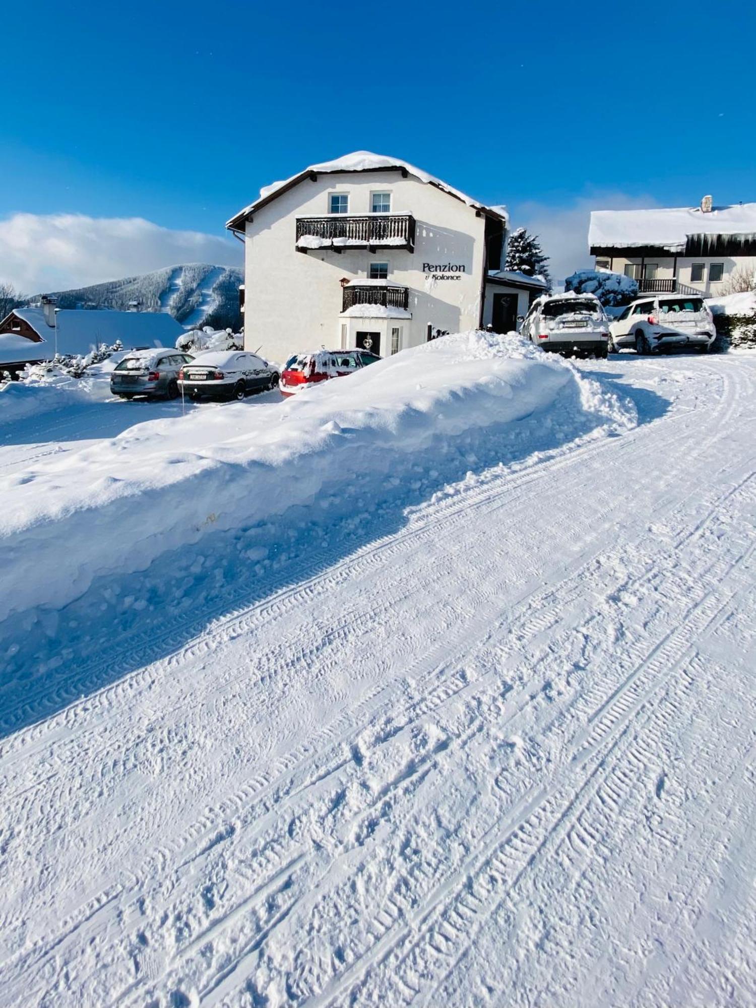 Penzion V Kolonce Strážné Eksteriør billede